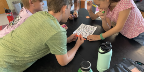 Maturing Math Skills